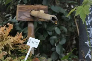 <p>a small water treatment in a peaceful garden</p>