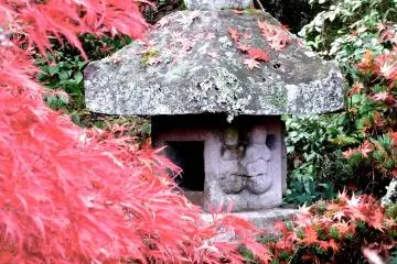 <p>Beauty in a garden</p>