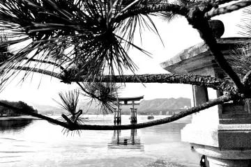 A Few Days at Miyajima