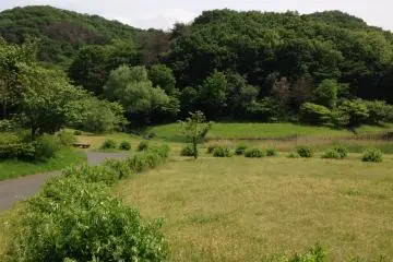 This is an area of the park with pavilions and picnic tables. Who could ask for a better picnic spot..