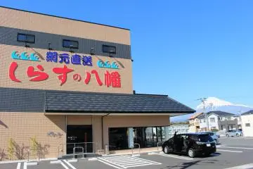 Gallery image