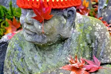 <p>These momiji maple leaves combine with the statues to create beautiful art</p>