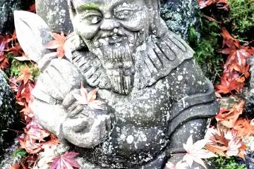 <p>Old and wise</p>