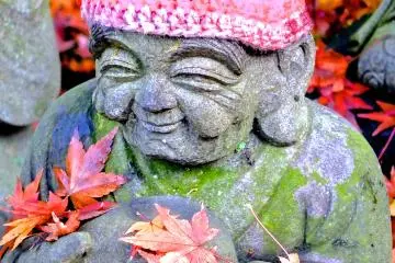 <p>It's easy to see that NOTHING bothers this happy soul</p>