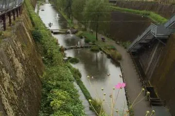 <p>Spring water flowing out from the tunnel</p>
