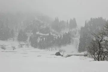 <p>Sleet is gradually changing into large flakes of snow</p>