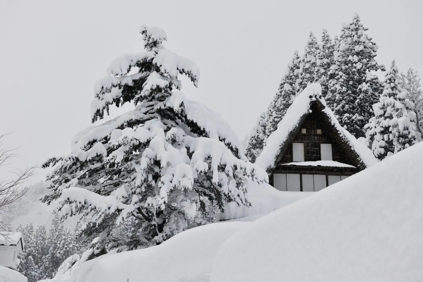 Good Old Japan in Toyama