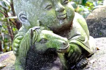 <p>Si bocah dan kudanya</p>