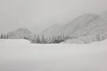 <p>집에 가기 전에 모든 풍경을 찍고 싶었습니다.&nbsp;</p>
