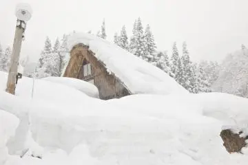 <p>Take a look at the utility pole half buried in snow! I was lost for words at this sight!</p>