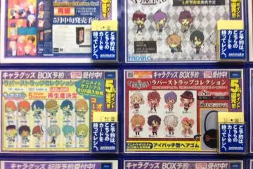<p>Accessories of all descriptions at Animate</p>
