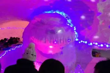 Godzilla bar