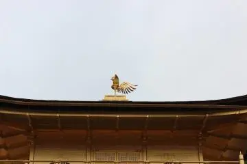 지붕 위에는 봉황이 장식되어 있다