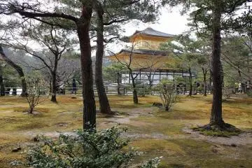 북쪽의 정원 너머로
