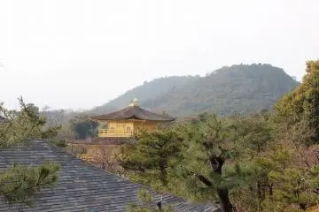 북동쪽 명신수앞 원경