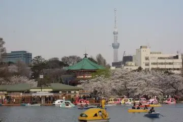 <p>Rent a boat and paddle around with a nice view of Skytree</p>