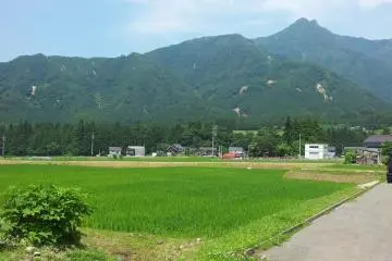 100% countryside
