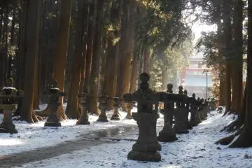 <p>L&rsquo;all&eacute;e bord&eacute;e de lanternes menant au sanctuaire</p>