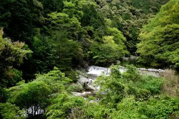 <p>Pretty waterfall beside the road</p>
