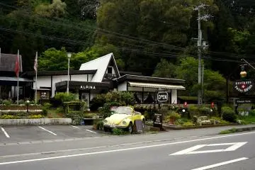 <p>You never know what you will find in the Japanese countryside!</p>