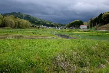 <p>Looks like rain is coming</p>