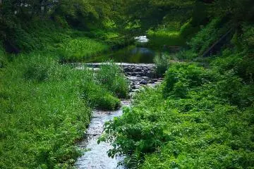 <p>Pretty stream named Tamagawa flowing out of the hills at Ide</p>