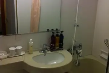 shower-toilet en suite (Photo: jjwalsh)
