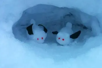 A heart warming moment in the chilly late afternoon