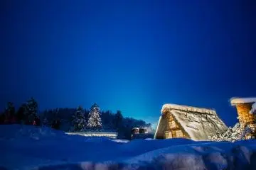정말 아름답다!