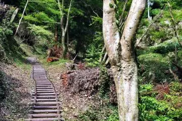 Well-maintained access