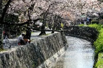 <p>....and especially spring:</p>