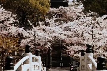 <p>Just lovely, don't you think so?</p>