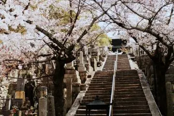<p>Some of them will lead your way up the stairs to a pagoda.</p>