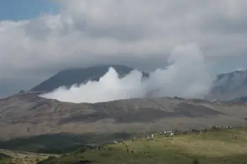 <p>Toxic gas clouds are released in the air</p>