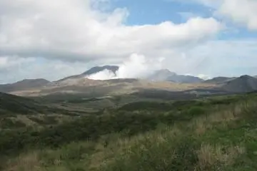 <p>Toxic gas clouds are released in the air</p>