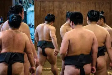<p>Wrestlers wear the traditional 'Mawashi' belts weighing 5Kg each</p>