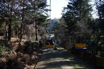 <p>Enjoying nature</p>