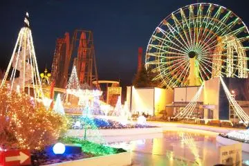 The lights are beautiful after dark.