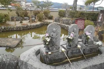 <p>Taman Asuka-der</p>
