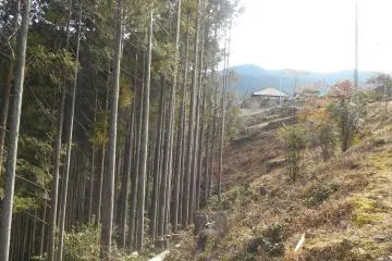 <p>The path can be steep in some places</p>