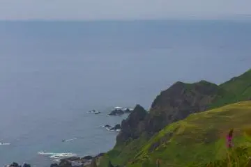 Coastline shortly after the edelweiss colony