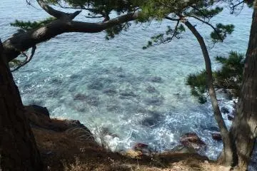View of the sea on the way to Camelias forest