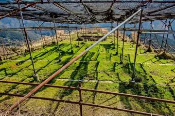 <p>A cattle grazing area &nbsp;</p>