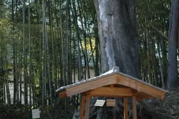 <p>หลังบ้านมีปั๊มน้ำที่ยังคงทำงาน</p>