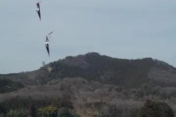 The synchronized dance of the sports kites was simply amazing.
