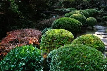 <p>The teahouse of Kagetsu-ro used to be at the end of this pathway</p>