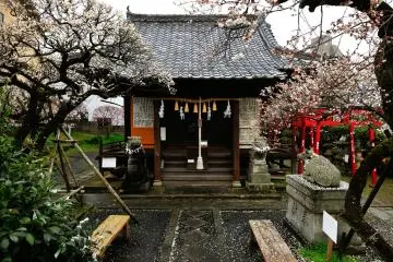 Gallery image