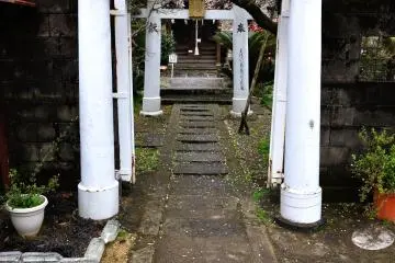Gallery image