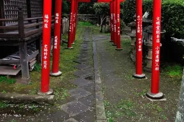Gallery image