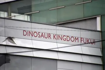 <p>Dinosaur Kingdom Fukui!</p>